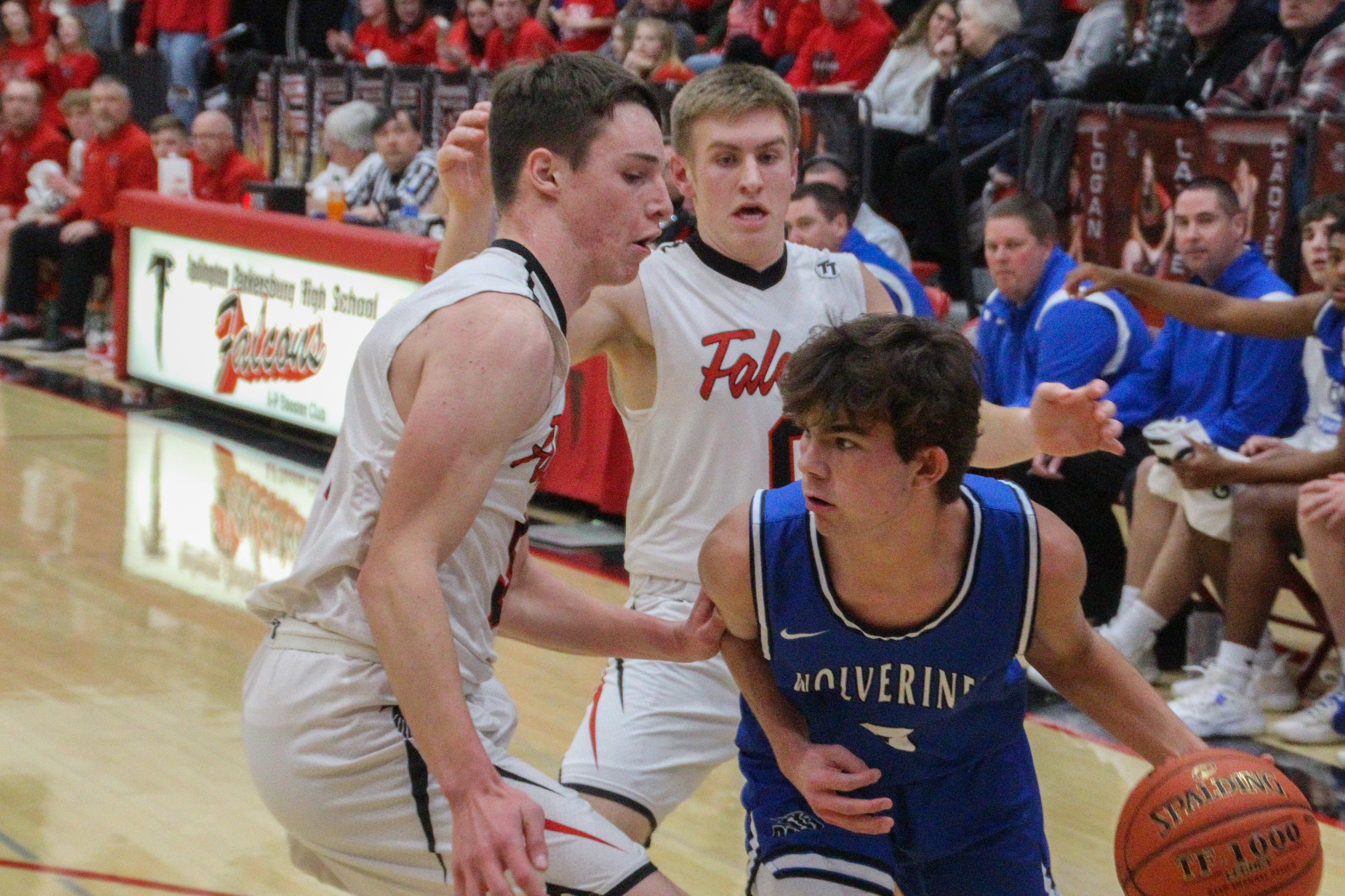 Image Description: A-P&#039;s Kale Riherd (left) and Cooper Hoff attempt to trap D-NH&#039;s Jacob Stockdale in the backcourt during Friday&#039;s game in Parkersburg. (Jake Ryder photo)