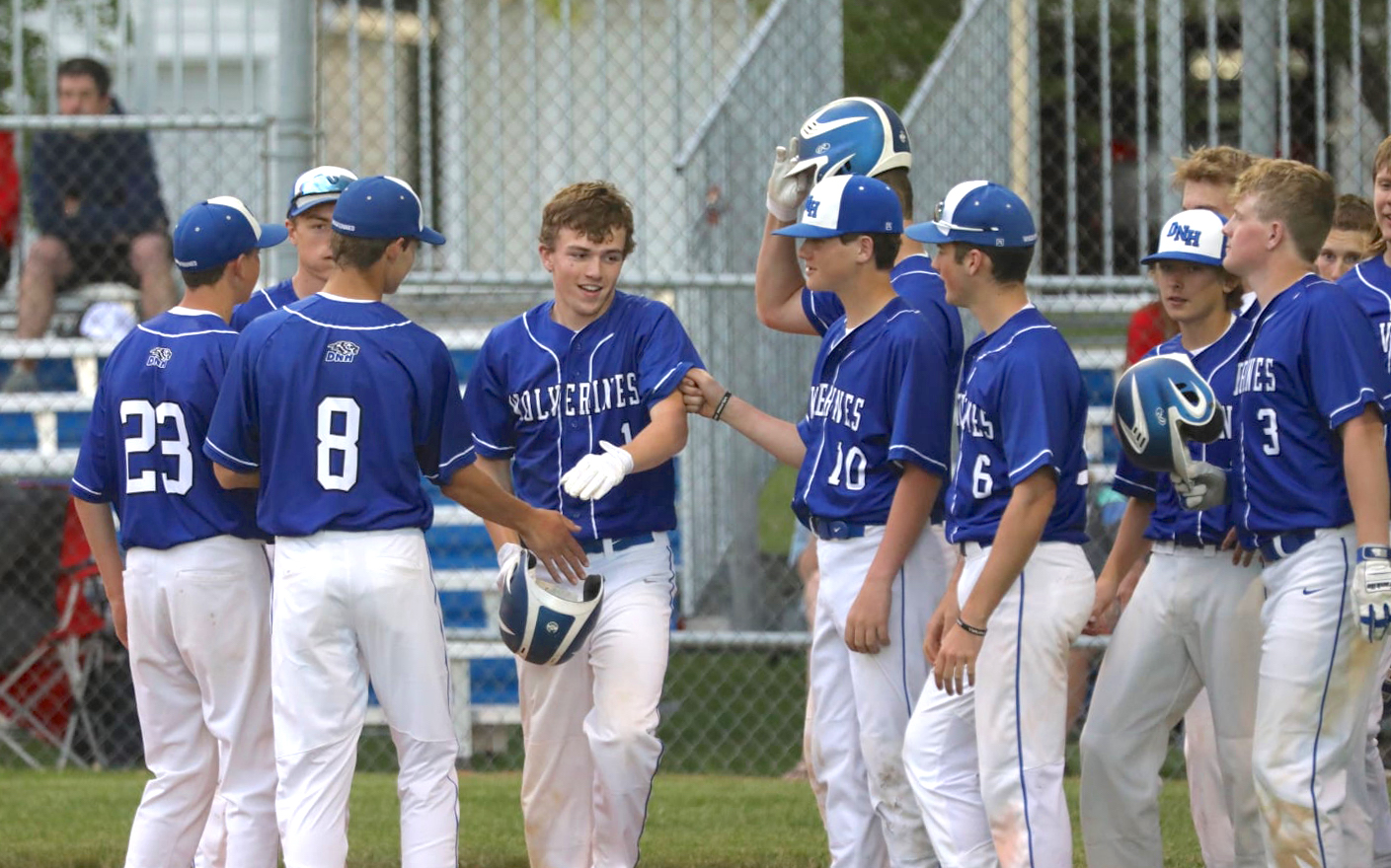 D-NH baseball sweeps A-P | Parkersburg Eclipse News-Review